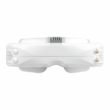 SkyZone SKY04L V2 FPV goggles