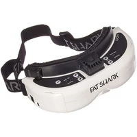 FPV Goggles