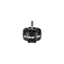 XING2 3616 Cinelifter Motor