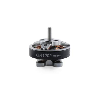 GEP-GR1202 6000KV motor