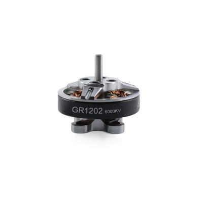 GEP-GR1202 6000KV motor