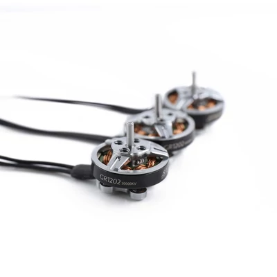 GEP-GR1202 6000KV motor